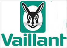 014658 Vaillant Ecomax 828 Service Valve
