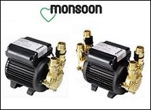 Monsoon Standard Pumps